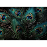 LB0630 Peacock Krishna Backdrop