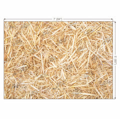 LB0783 Starw Texture Backdrop