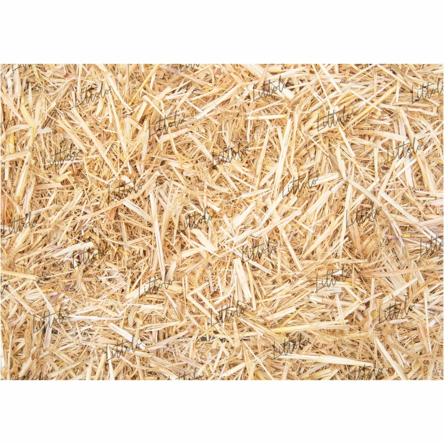 LB0783 Starw Texture Backdrop