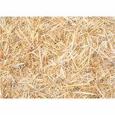 LB0783 Starw Texture Backdrop