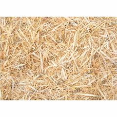 LB0783 Starw Texture Backdrop