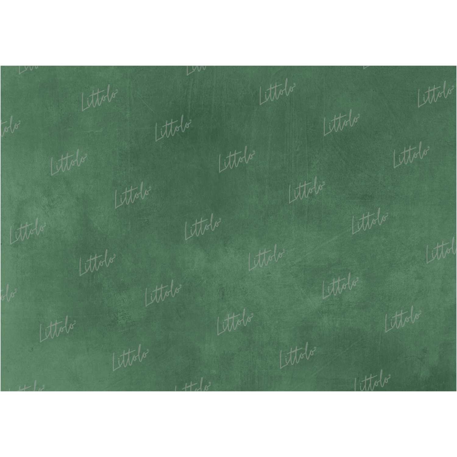 LB0840 Texture Backdrop