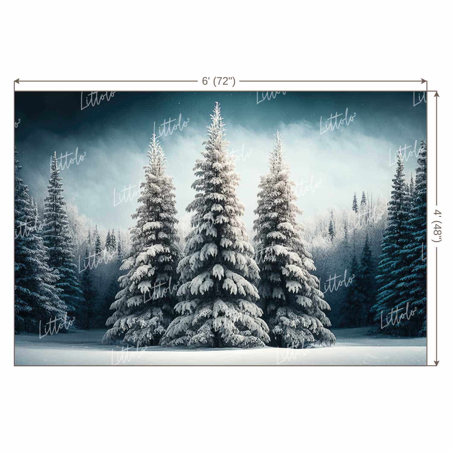 LB0920 Christmas Backdrop