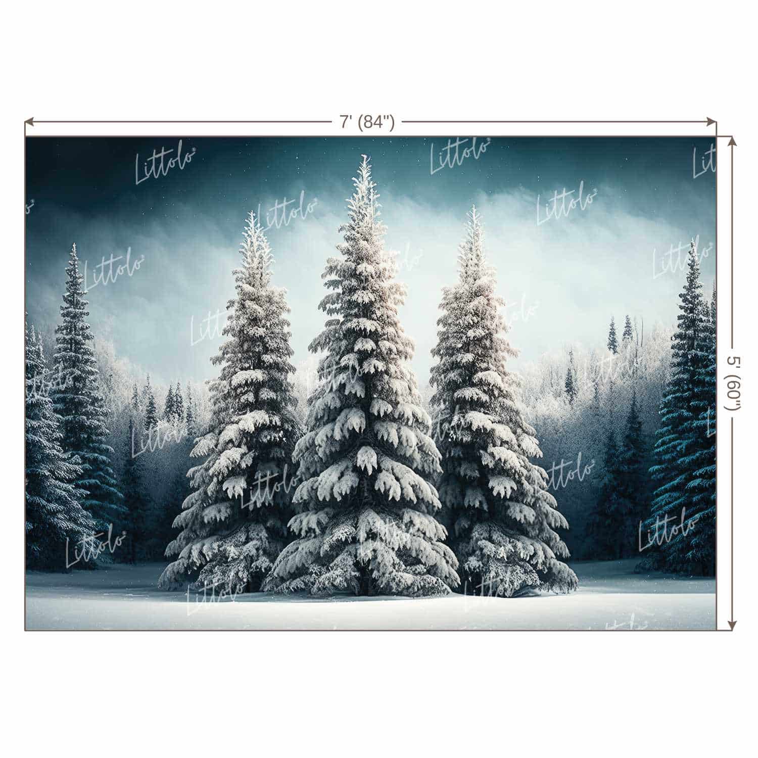 LB0920 Christmas Backdrop