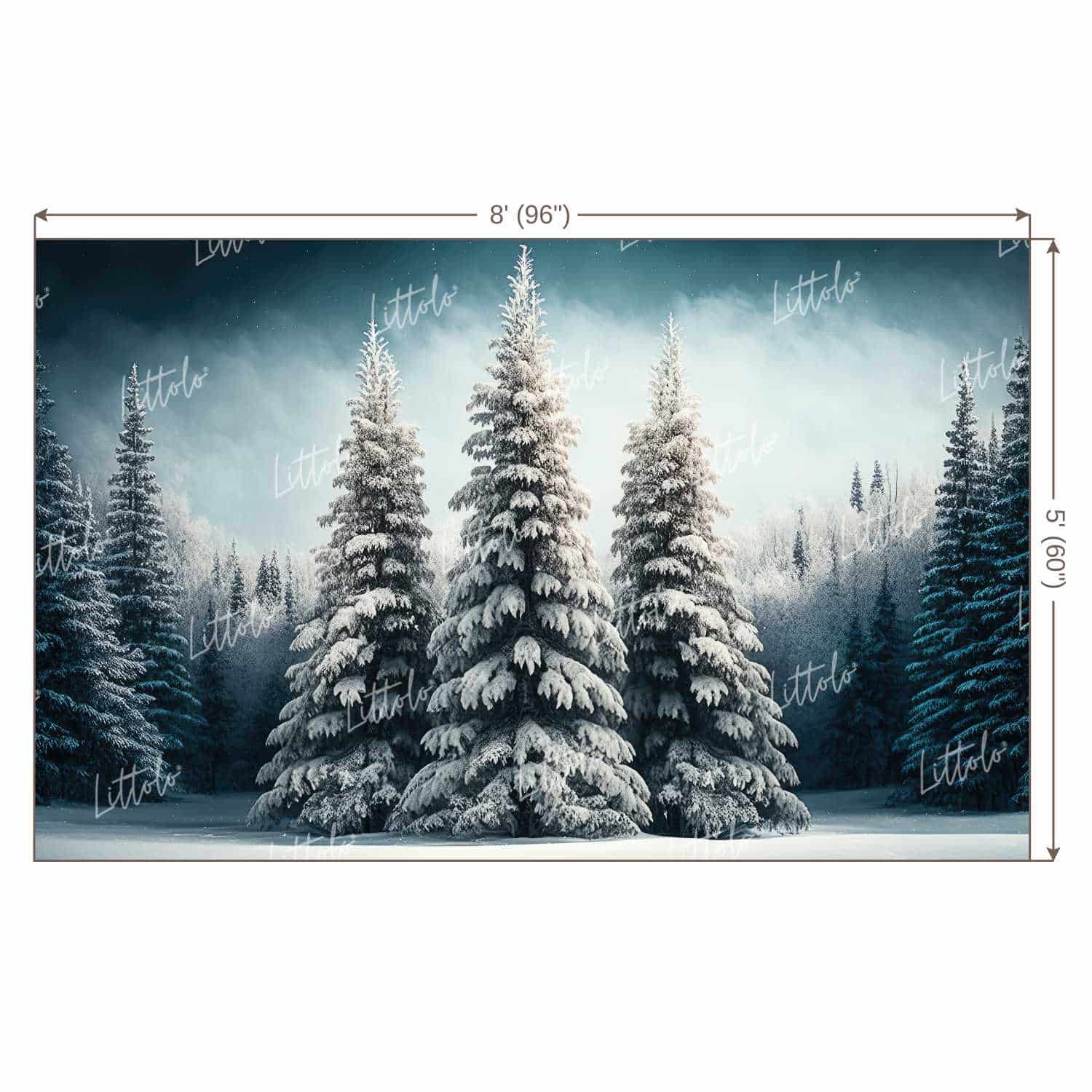 LB0920 Christmas Backdrop