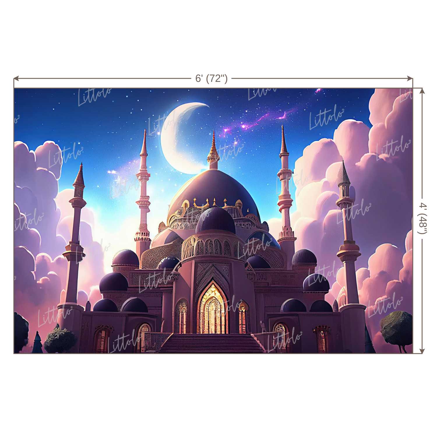 LB0960 Castle Backdrop