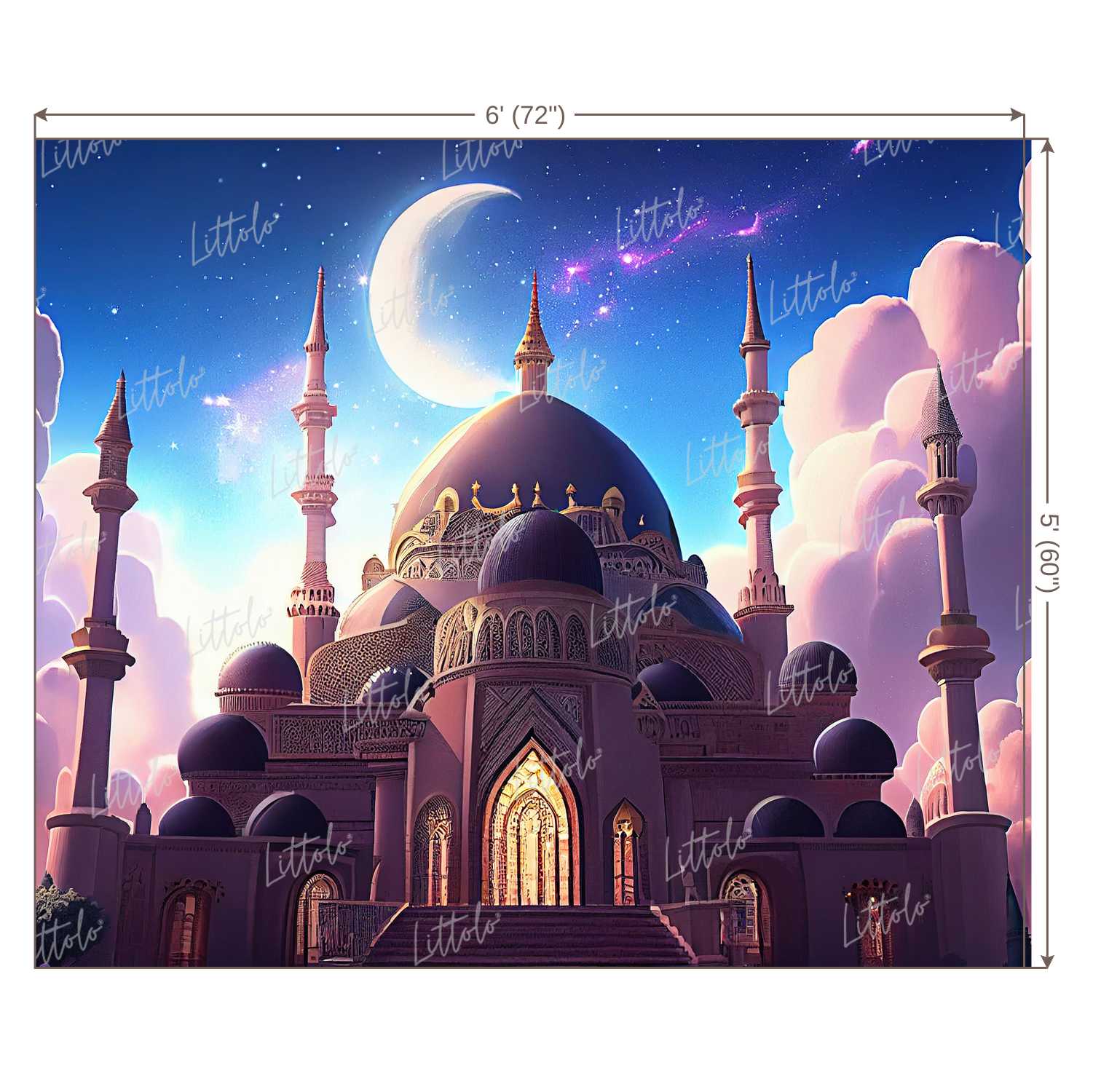 LB0960 Castle Backdrop