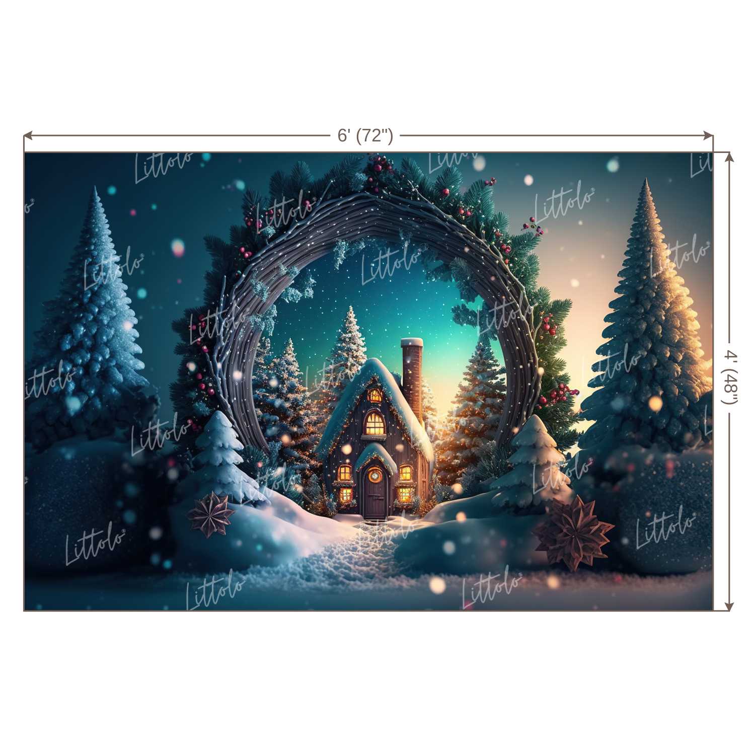 LB0987 Christmas Theme Backdrop