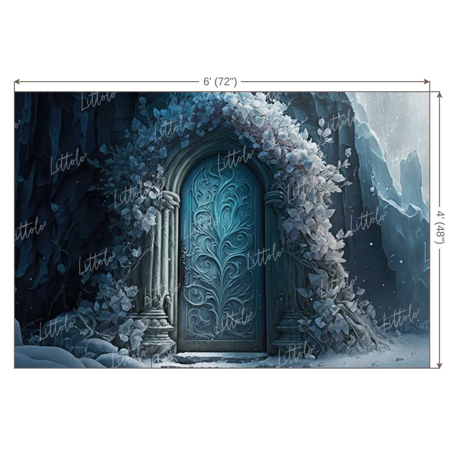 LB1013 Enchanted Doorway Backdrop