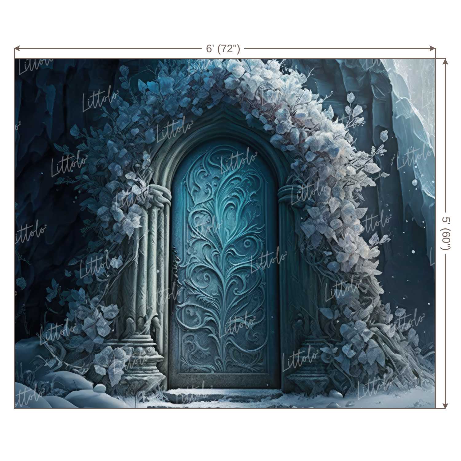 LB1013 Enchanted Doorway Backdrop