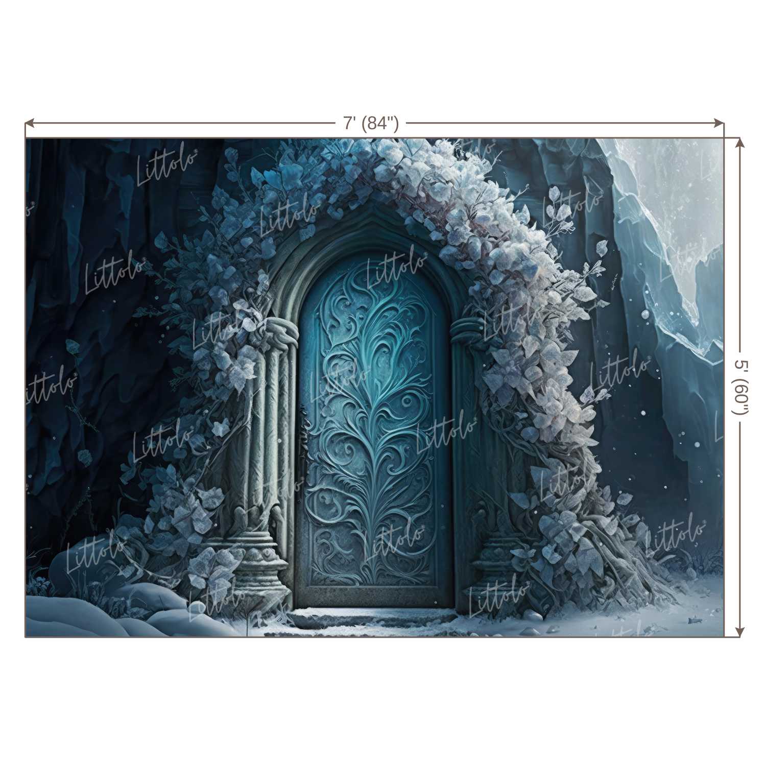 LB1013 Enchanted Doorway Backdrop