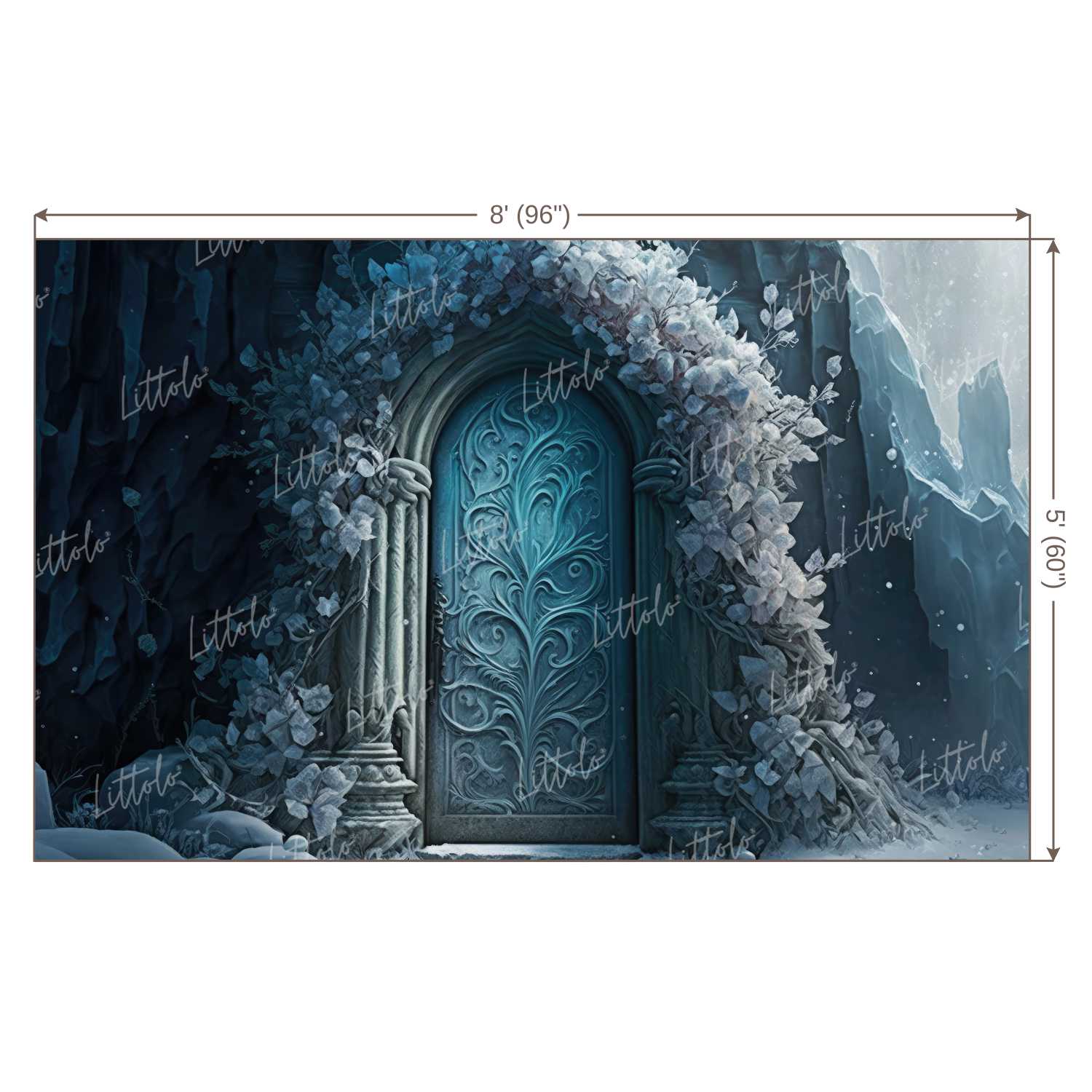 LB1013 Enchanted Doorway Backdrop