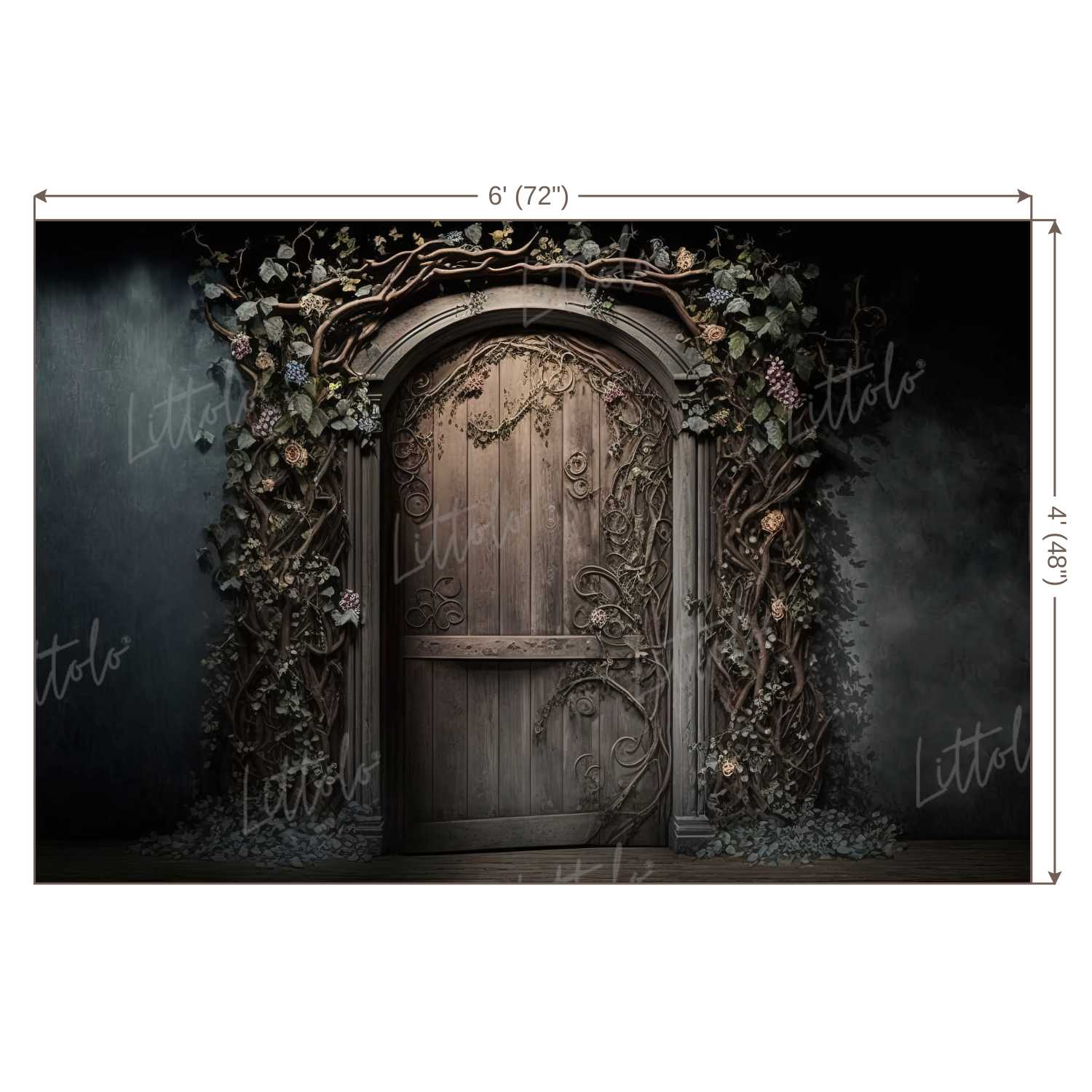 LB1038 Enchanted Doorway Backdrop