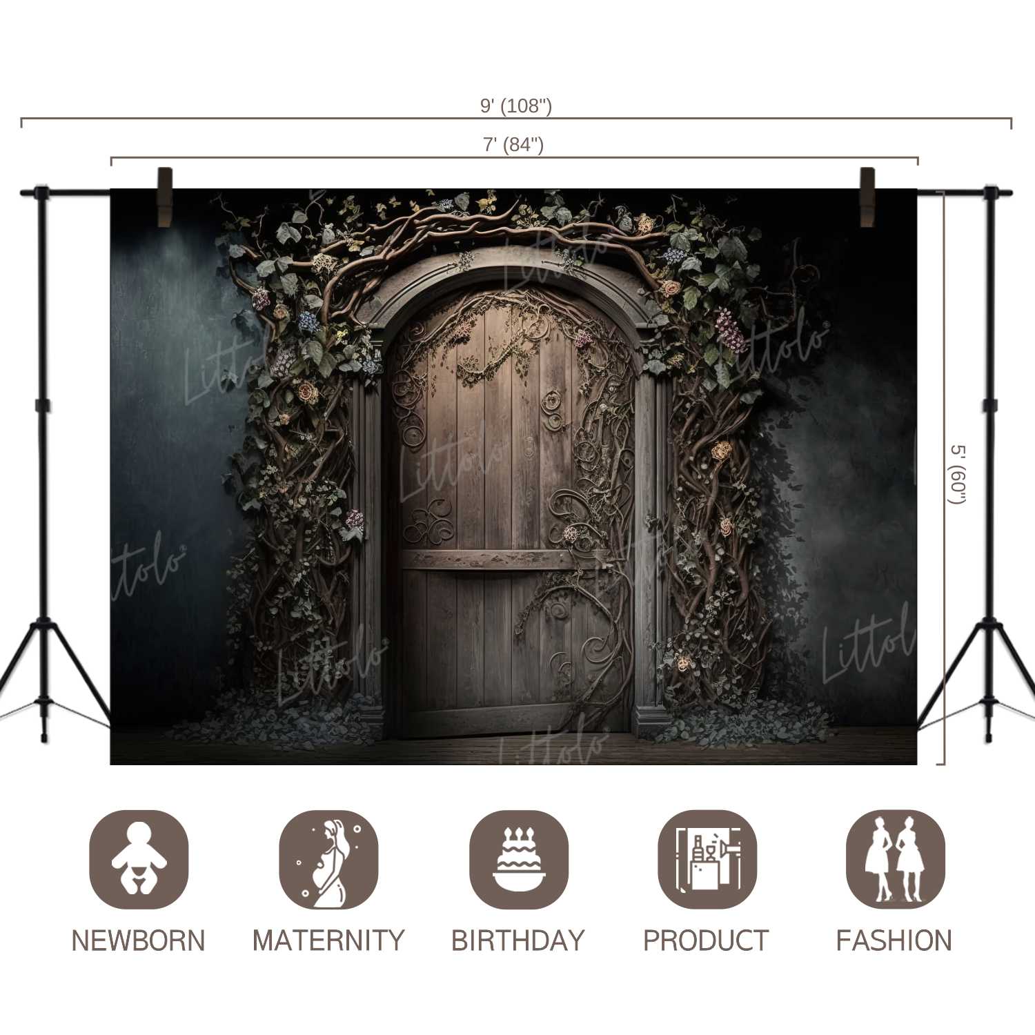 LB1038 Enchanted Doorway Backdrop