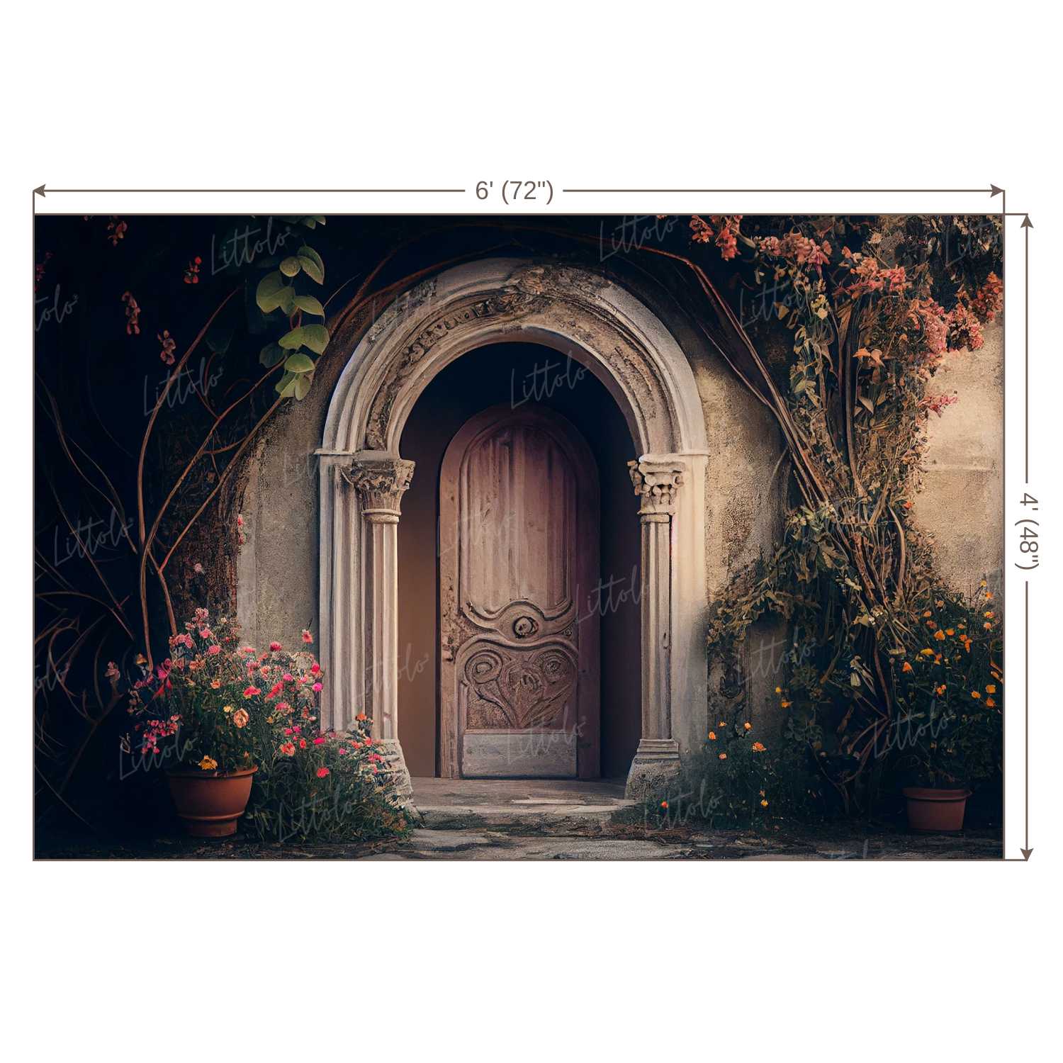 LB1068 Enchanted Doorway Backdrop