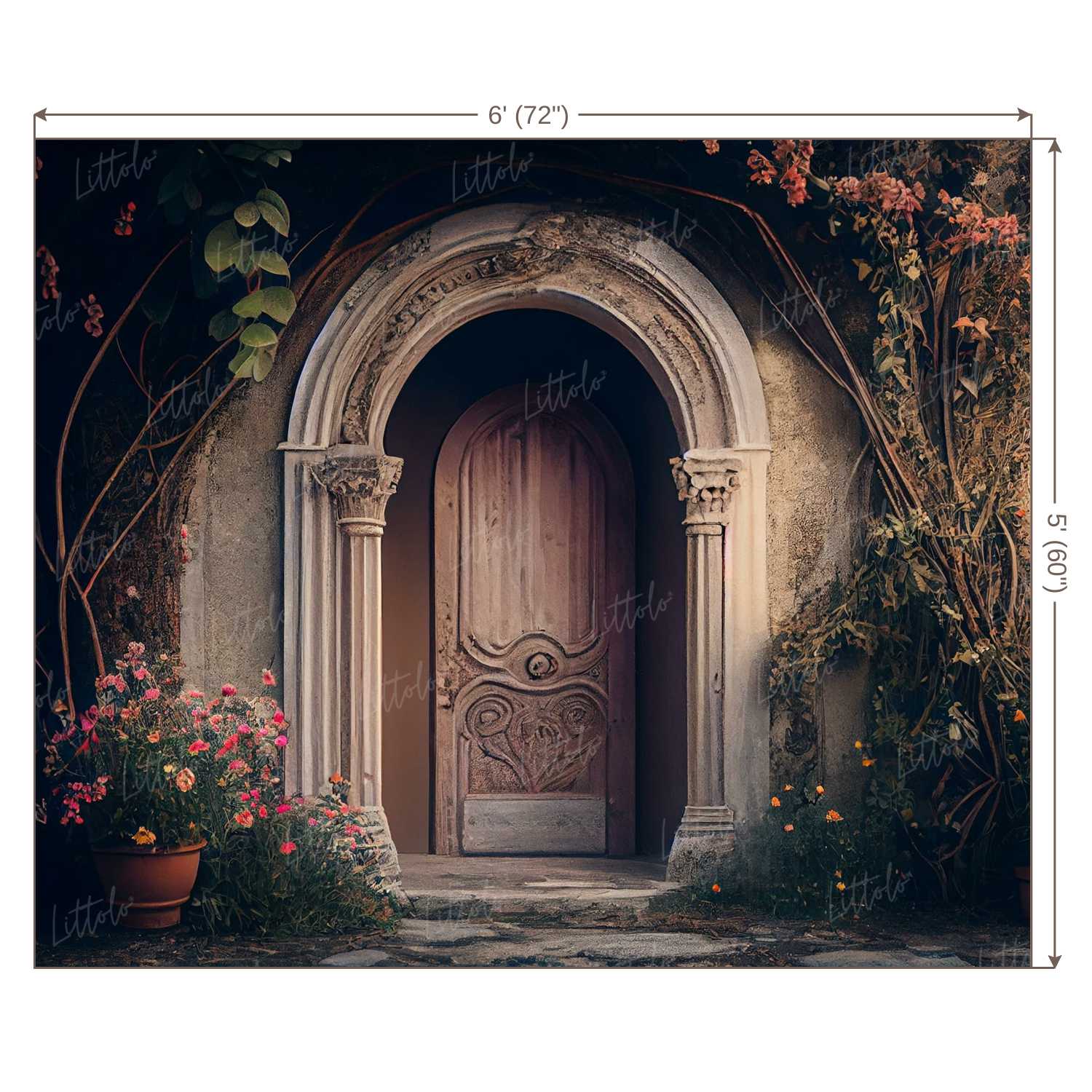 LB1068 Enchanted Doorway Backdrop