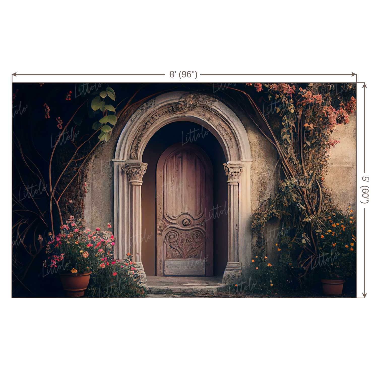 LB1068 Enchanted Doorway Backdrop