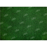 LB1072 Grass Theme Backdrop