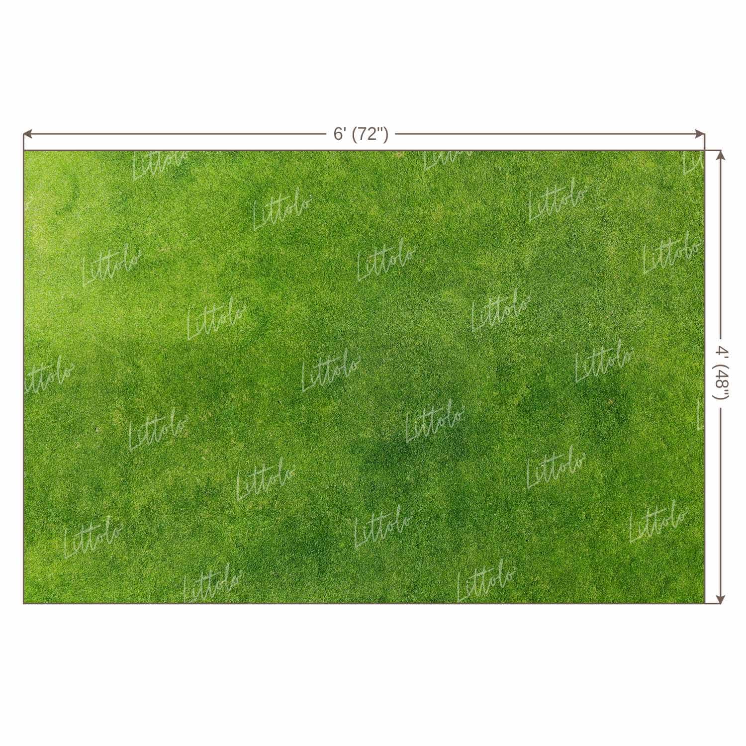 LB1278 Textures and Solids Backdrop