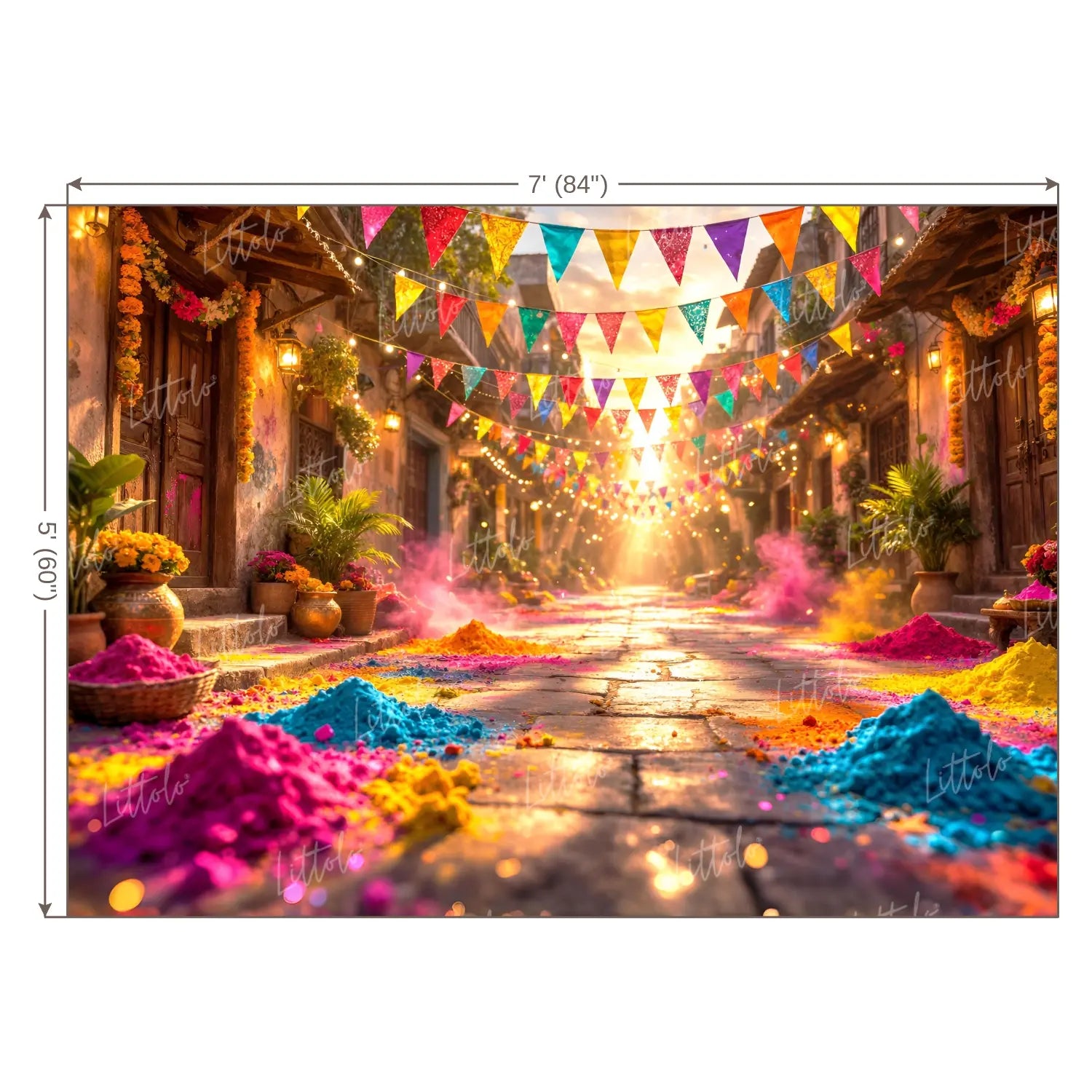 LB1579 Holi Festival Backdrop