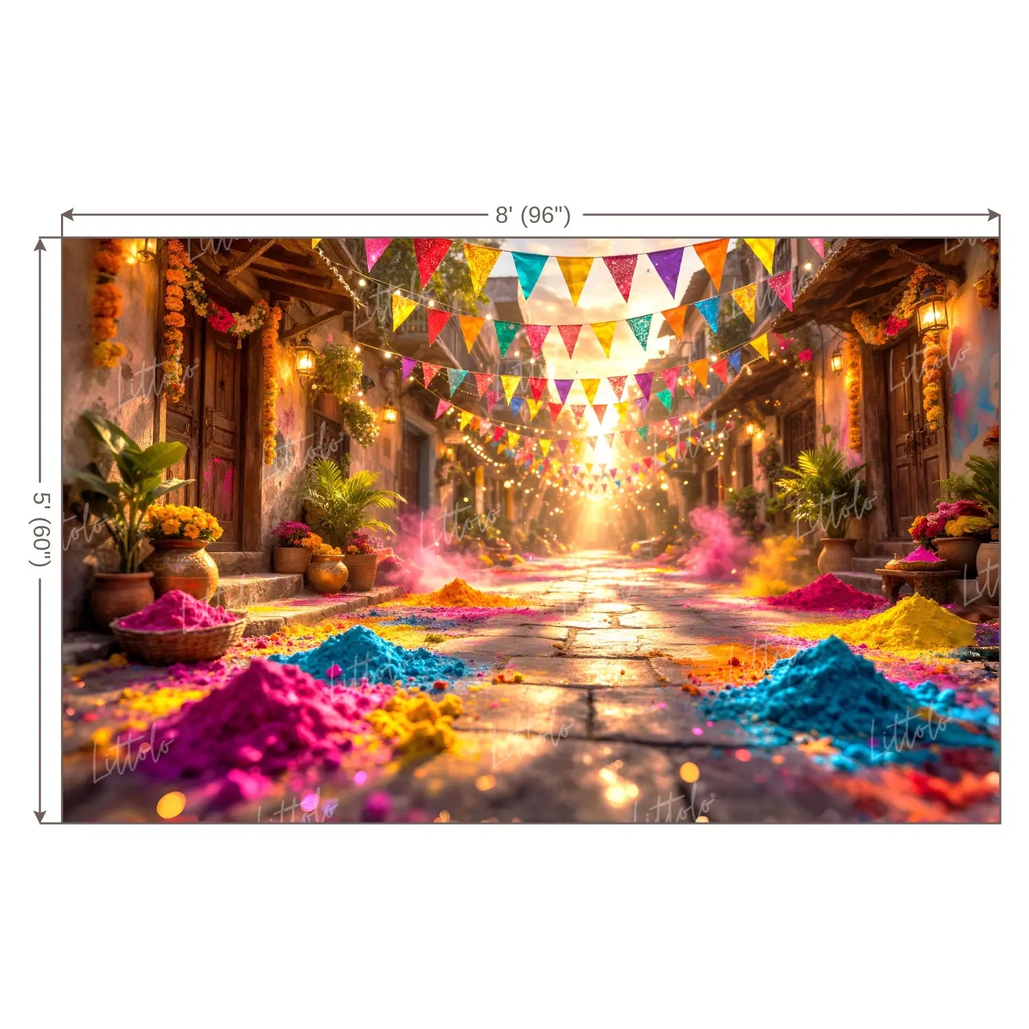 LB1579 Holi Festival Backdrop