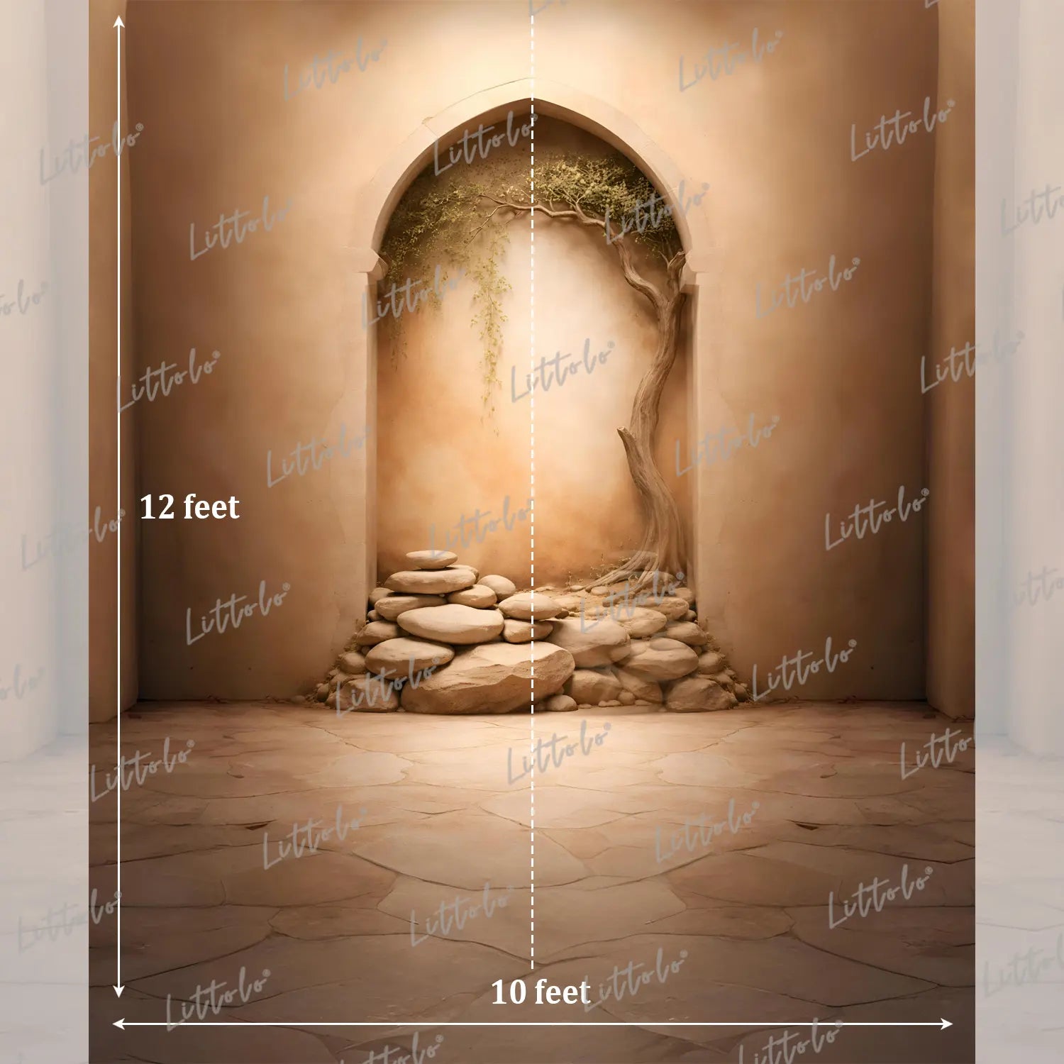 LB1587 Desert Arch Stone Garden Maternity Photography Backdrop