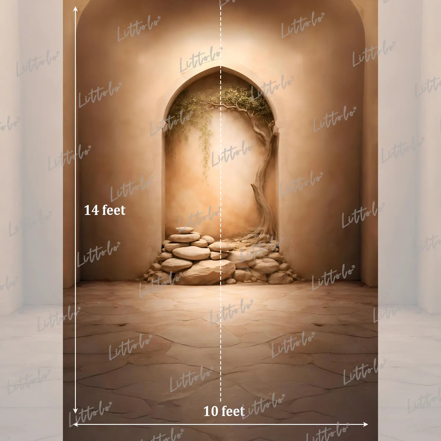 LB1587 Desert Arch Stone Garden Maternity Photography Backdrop