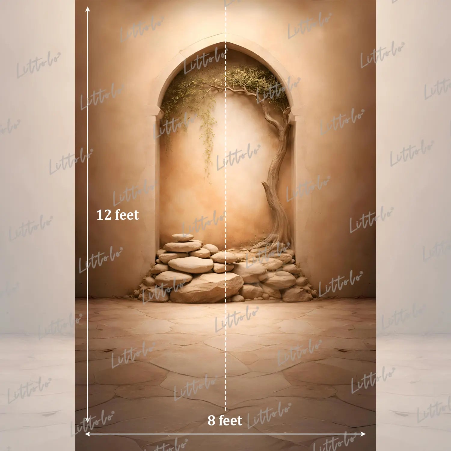 LB1587 Desert Arch Stone Garden Maternity Photography Backdrop