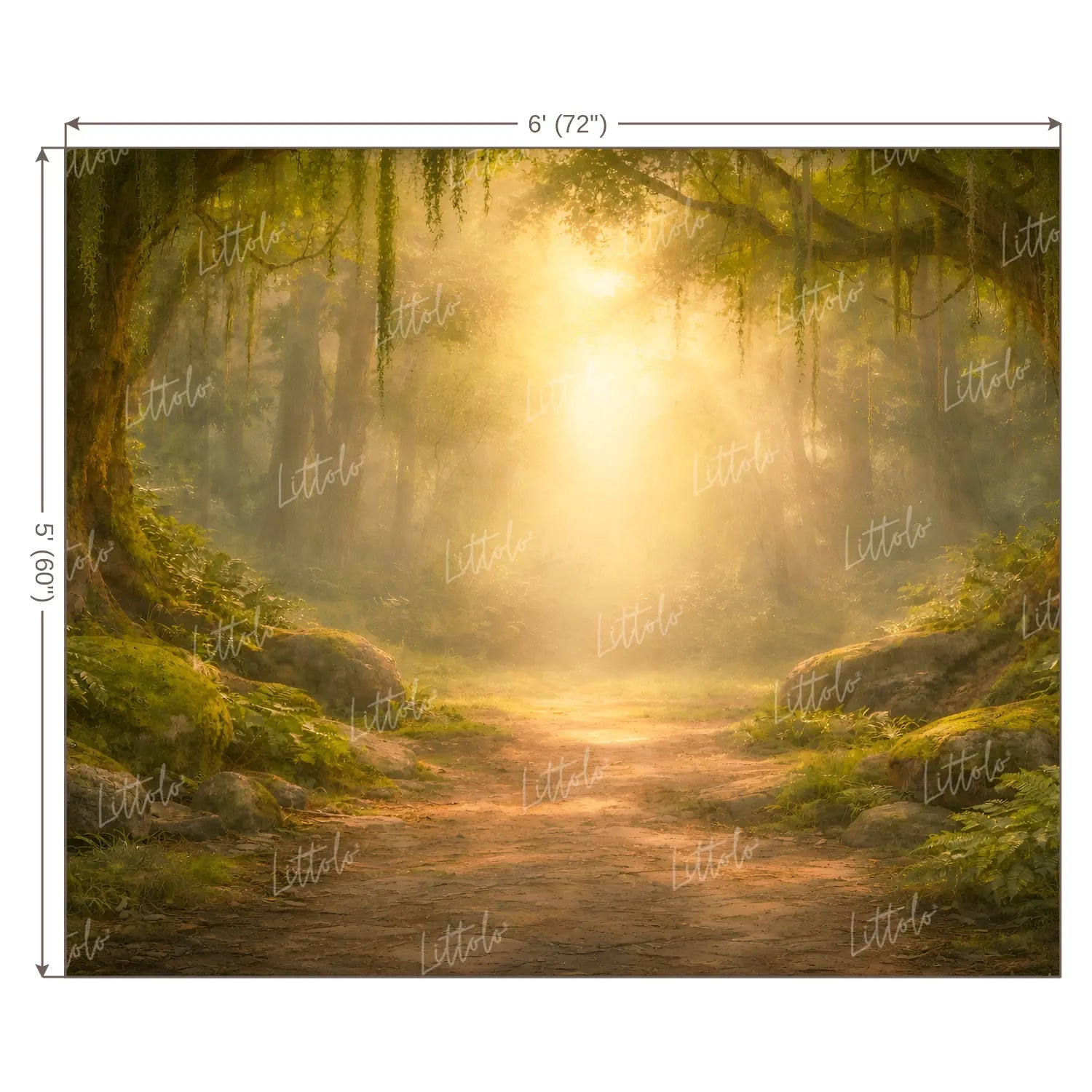 LB1610W Ram Navami Divine Sunlight Forest Backdrop