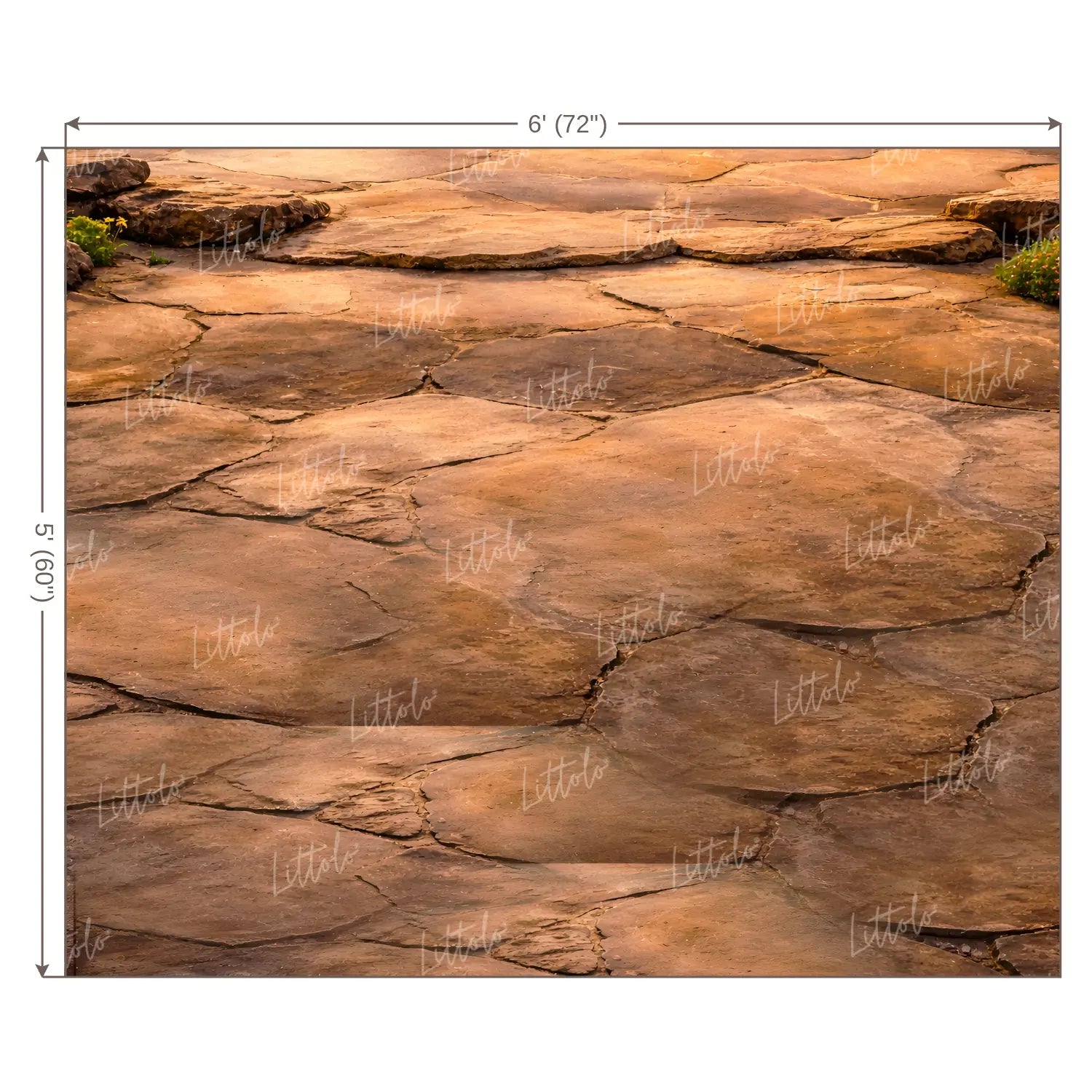 LB1595F Rustic Sandstone Terrain Floor Backdrop