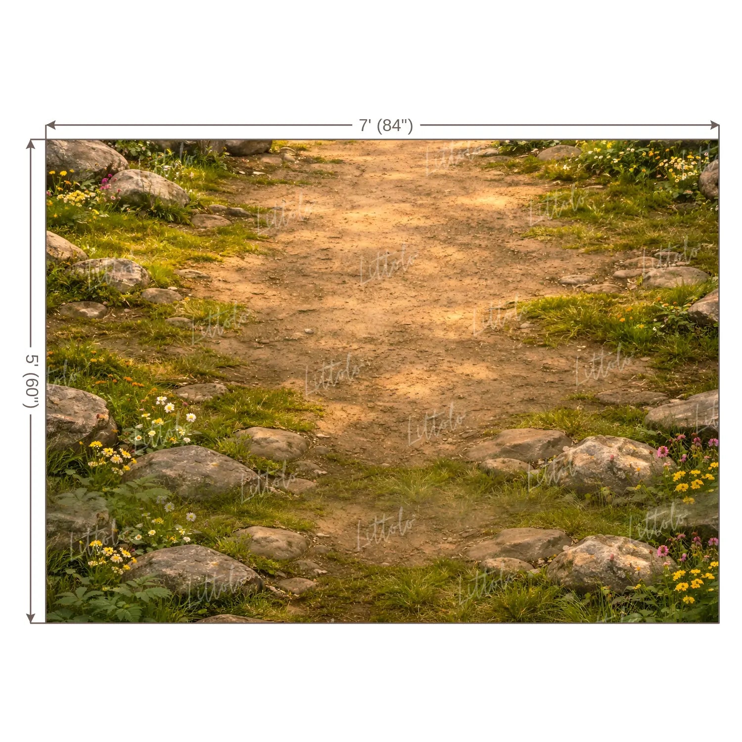 LB1599F Forest Path Way Floor Backdrop