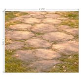 LB1603F Rustic Garden Stone Path Floor Backdrop