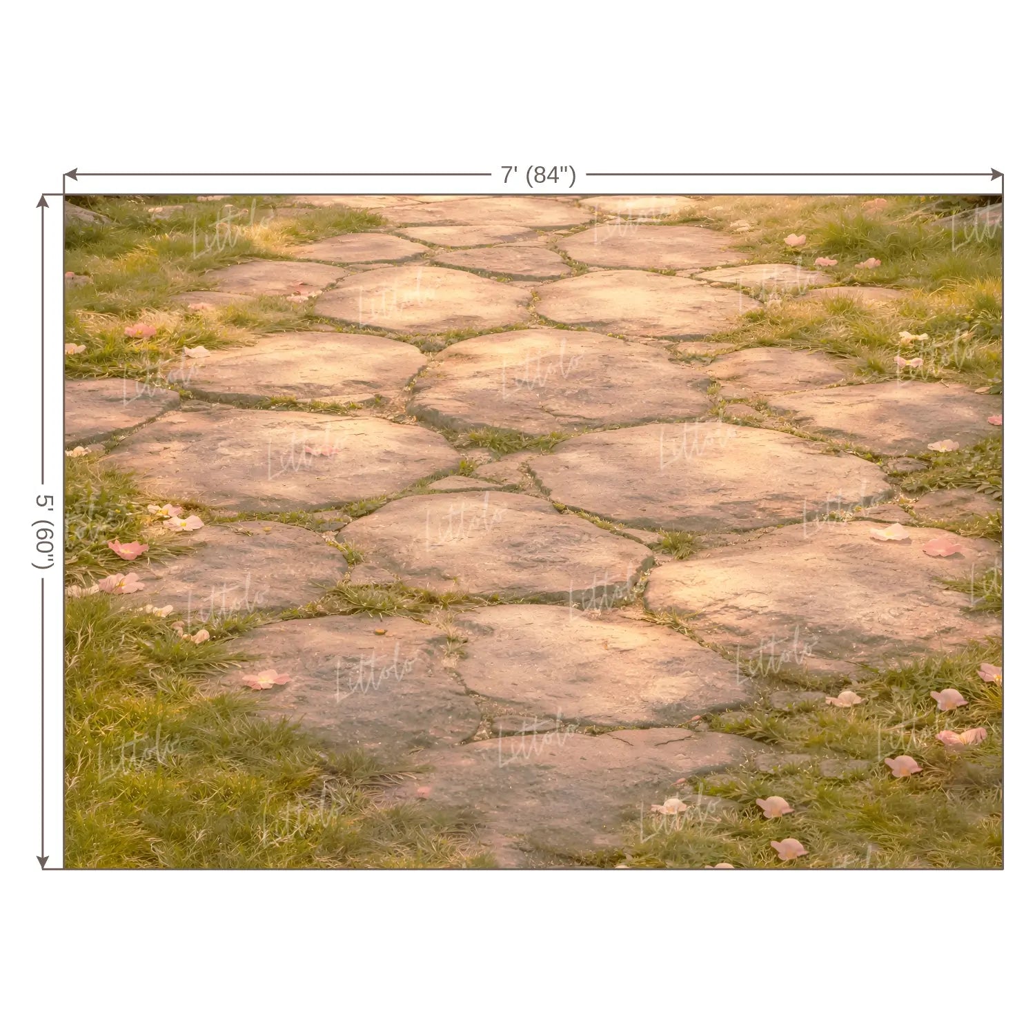 LB1603F Rustic Garden Stone Path Floor Backdrop