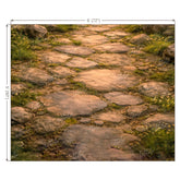 LB1604F Forest Stone Path Floor Backdrop