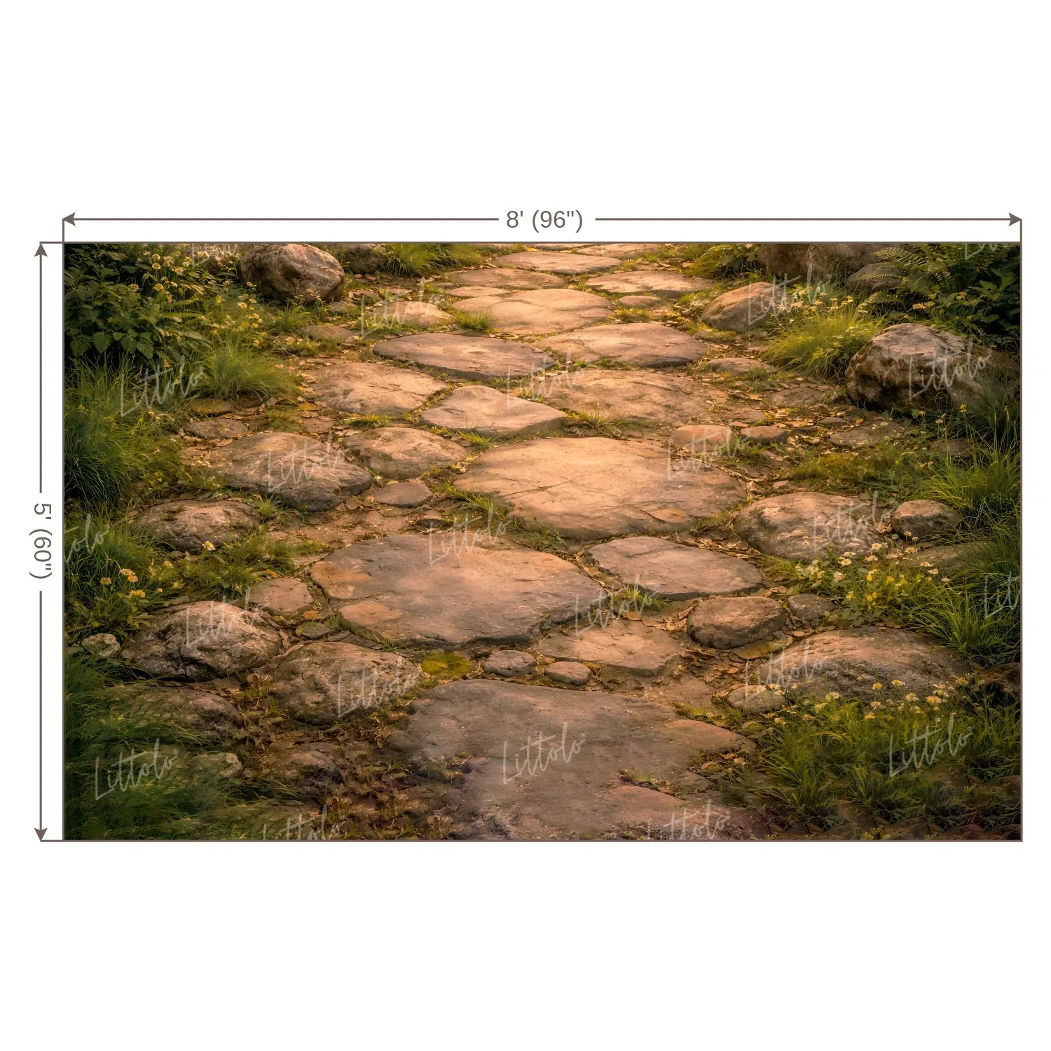 LB1604F Forest Stone Path Floor Backdrop
