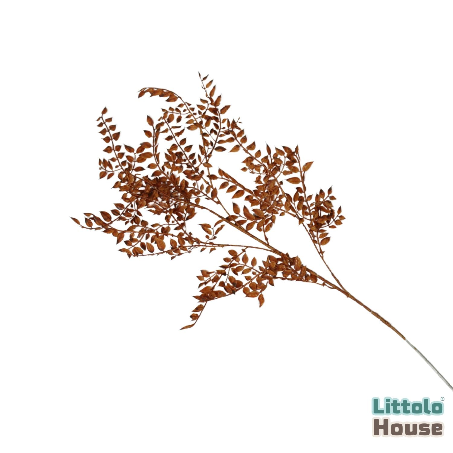 Artificial Ruscus Leaves Stick F096 | Pack of 1 | Brown
