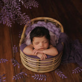 Artificial Ruscus Leaves Stick F096 | Pack of 1 | Purple