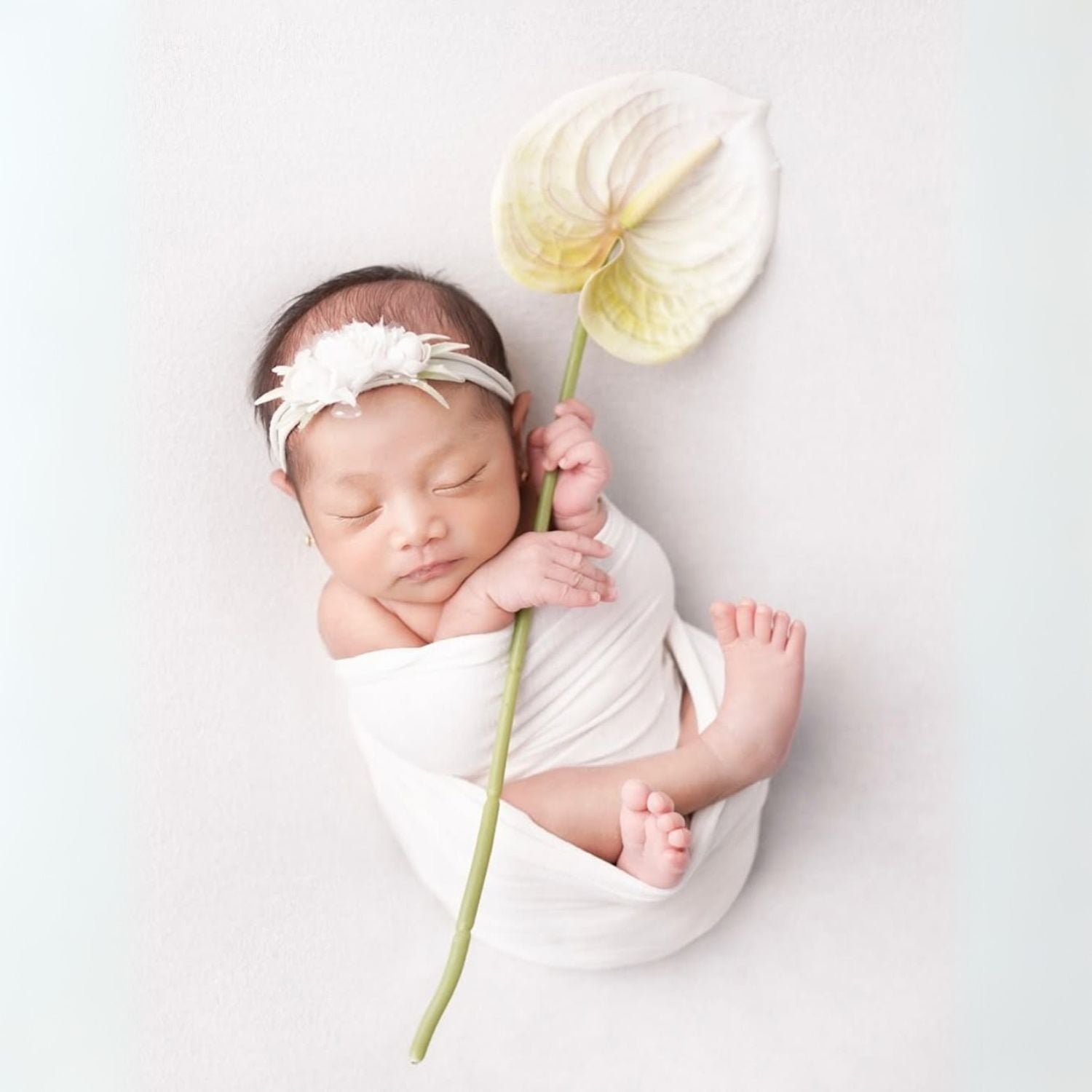 Artificial Anthurium Flower Stick F100 | Pack of 2 | White