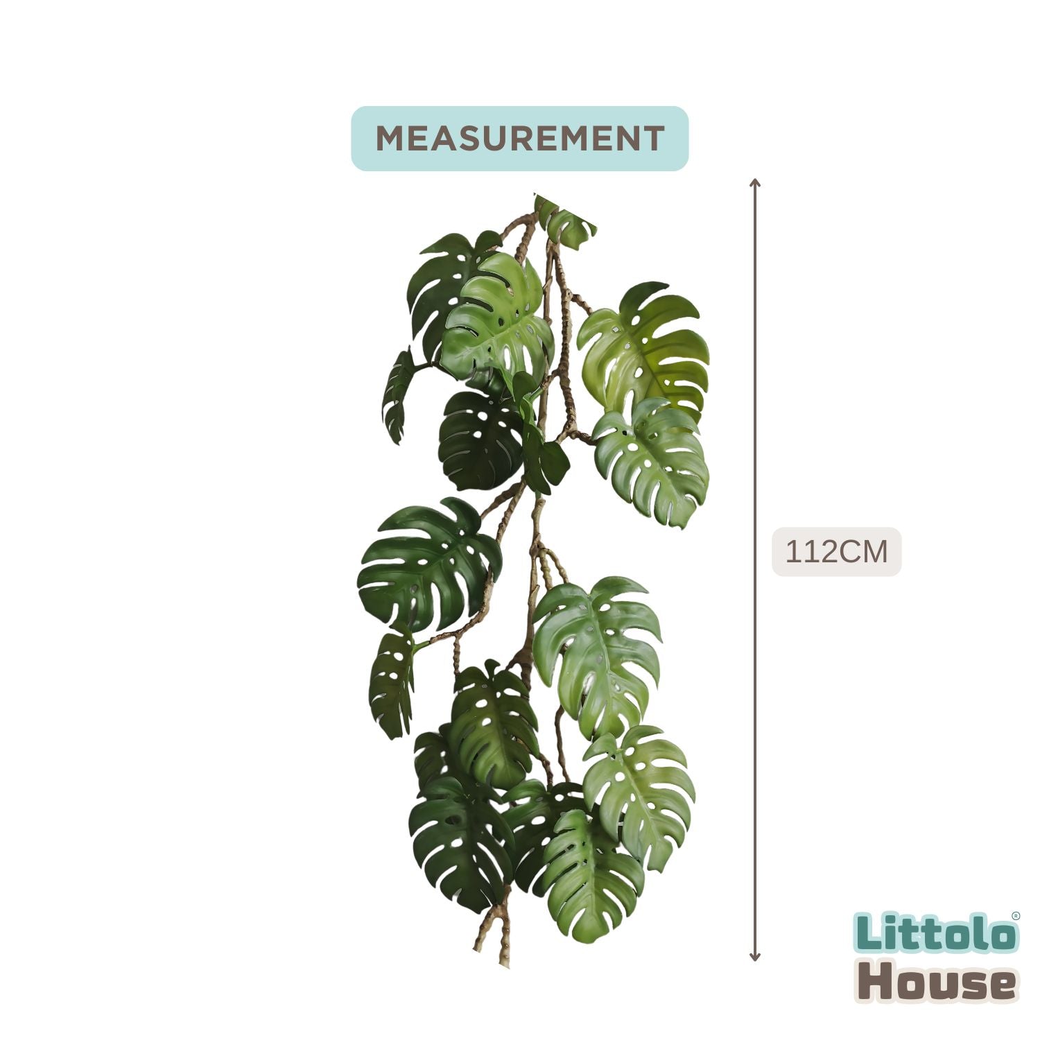 Monstera Plant Hanging F104 | Pack of 1 | Green
