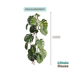 Monstera Plant Hanging F104 | Pack of 1 | Green