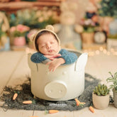 Piggy Basket | Iron Artware | Light Cream