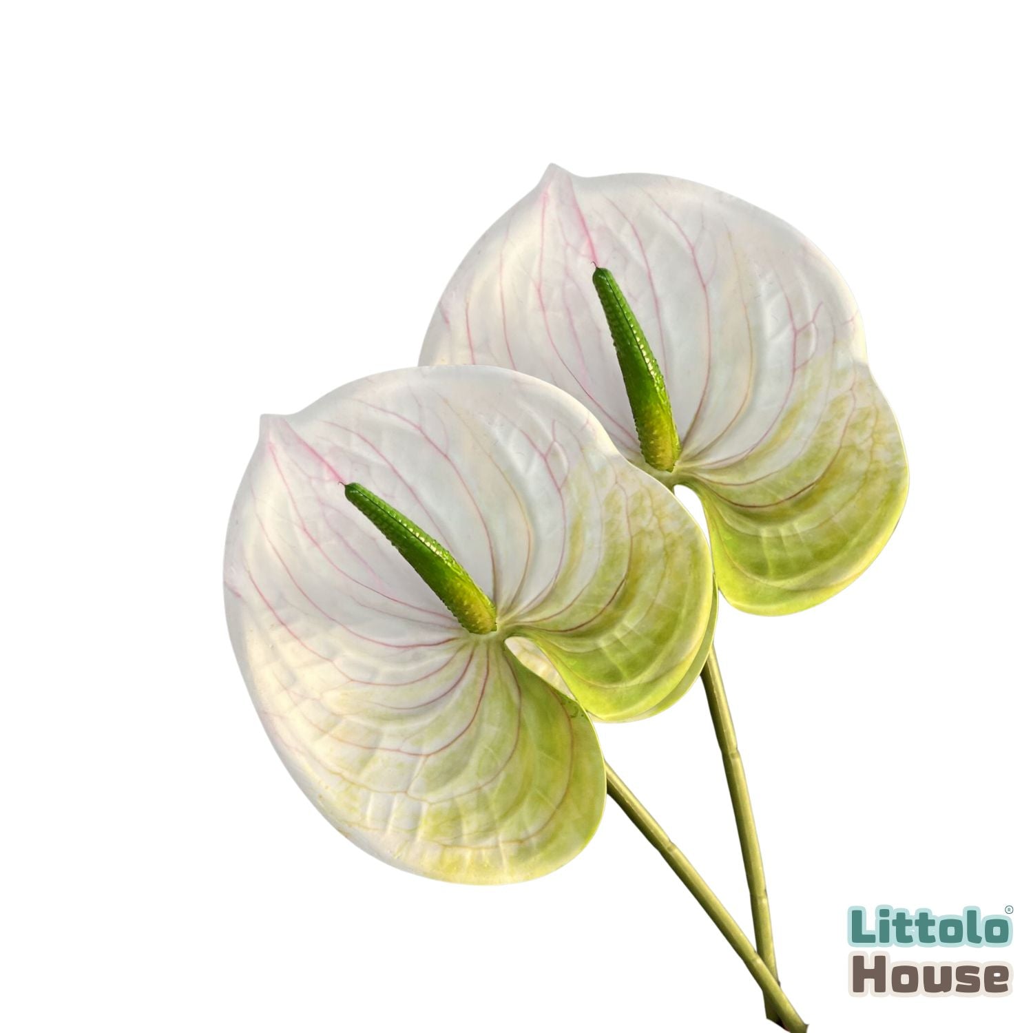 Artificial Anthurium Flower Stick F100 | Pack of 2 | White