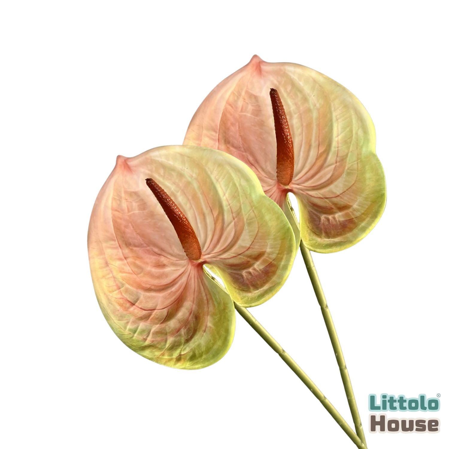 Artificial Anthurium Flower Stick F100 | Pack of 2 | Multicolour