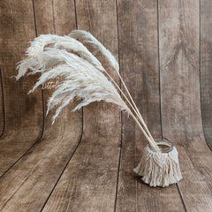 Natural Dried Reed Pampas small F056 Pack of 5 | Natural White
