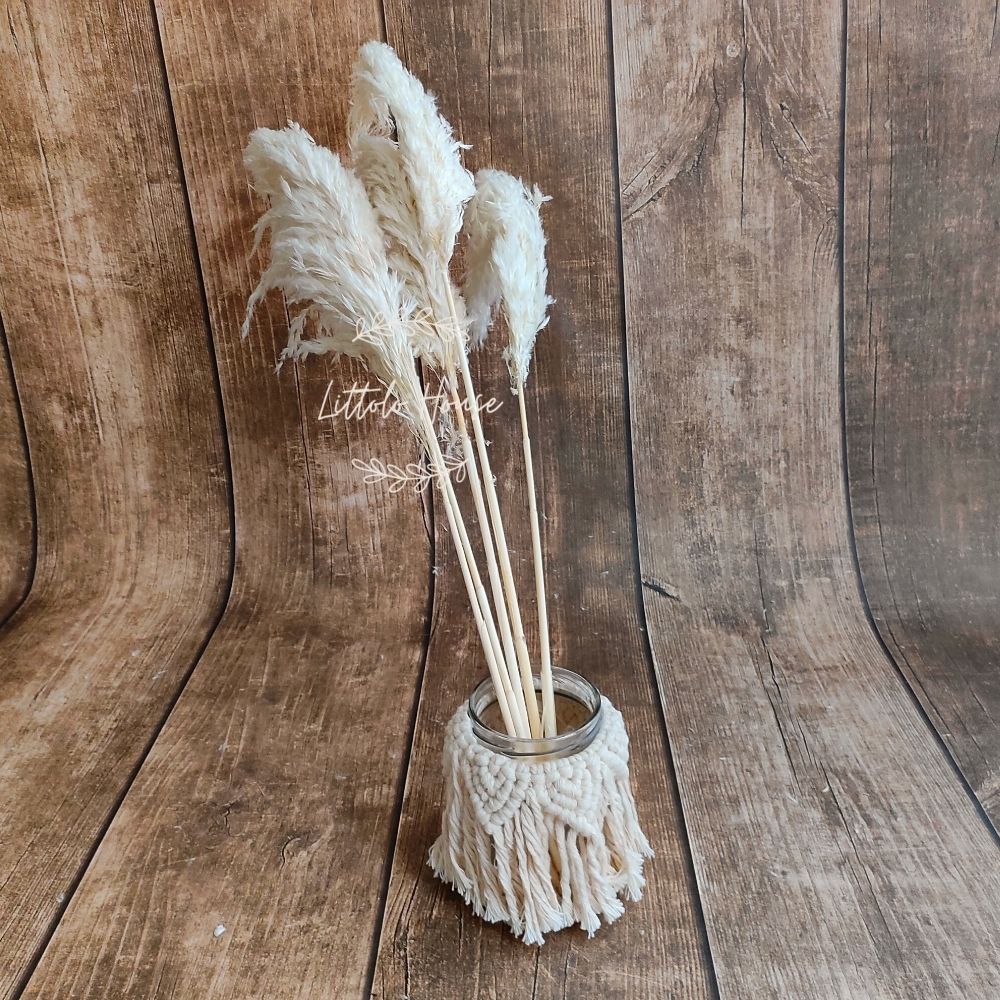 Natural Dried Reed Pampas small F056 Pack of 5 | Natural White