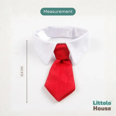 Baby Tie Collar O083 | NB | Red