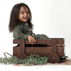Wooden Pull Cart | Wooden Decorative | Natural Wood