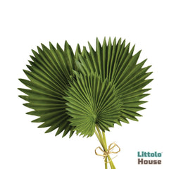 Artificial Palm Leaves F085 | Pack of 3 | Green