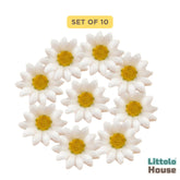 Sunflowers Head F110 | Bunch of 10 | White