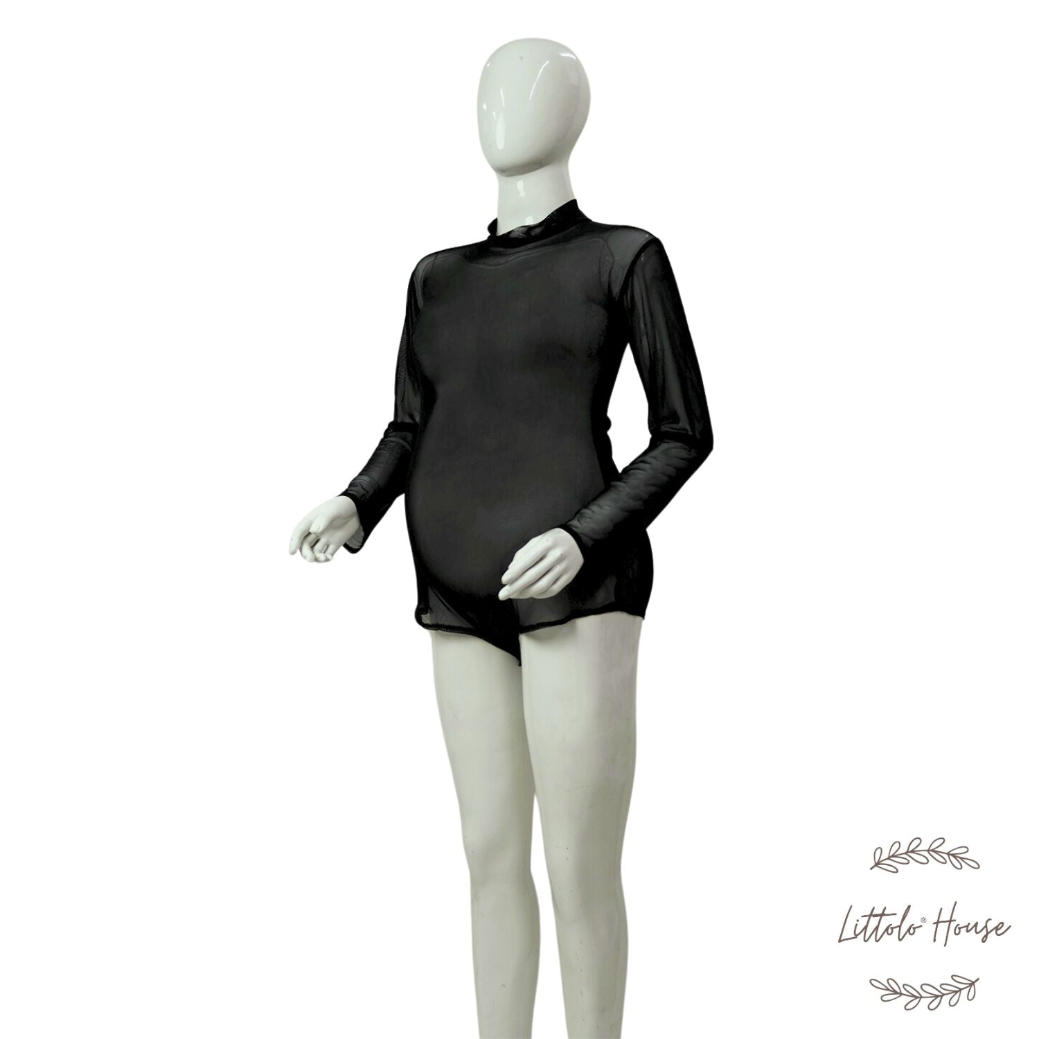 Transparent Net Full Sleeves Highneck Bodysuit | Black M047 | M | Black